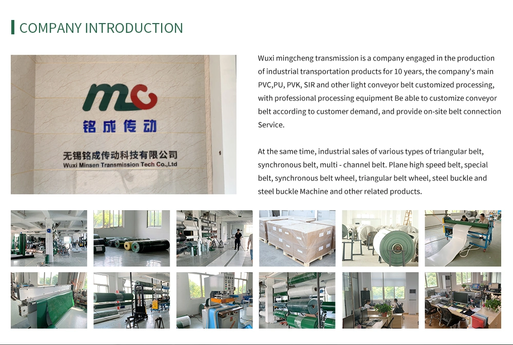 Factory High Quality Green PVC/PU/Pvk Light Duty/Weight Industrial Conveyor/Transmission/Timing Belting/Belt with Grass Pattern