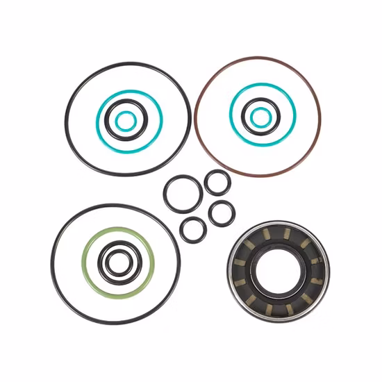 Maquinaria de construcción Mini motor Cargador de ruedas Pieza de bomba hidráulica de desplazamiento sobre orugas Kit de reparación de repuesto de excavadora Rexroth Komatsu Hyundai Kubota Kobelco